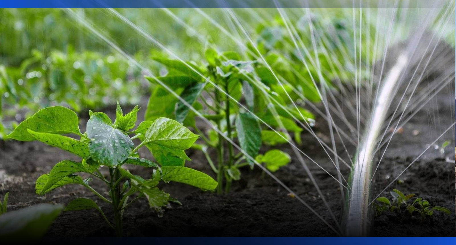 Image for Площади водосберегающего орошения в Казахстане увеличат до 1,3 млн га